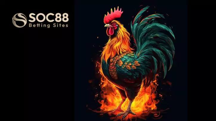 Đá gà soc88 tỷ lệ thưởng hấp dẫn