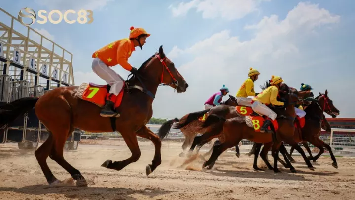 Lịch sử của cược đua ngựa tại Soc88